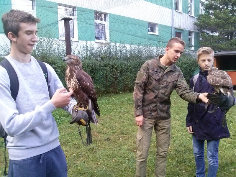 Uczniowie gimnazjum na warsztatach dotyczących ochrony ptaków drapieżnych