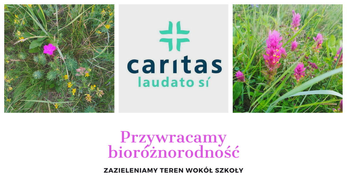 Grant w ramach projektu „Caritas Laudato si”